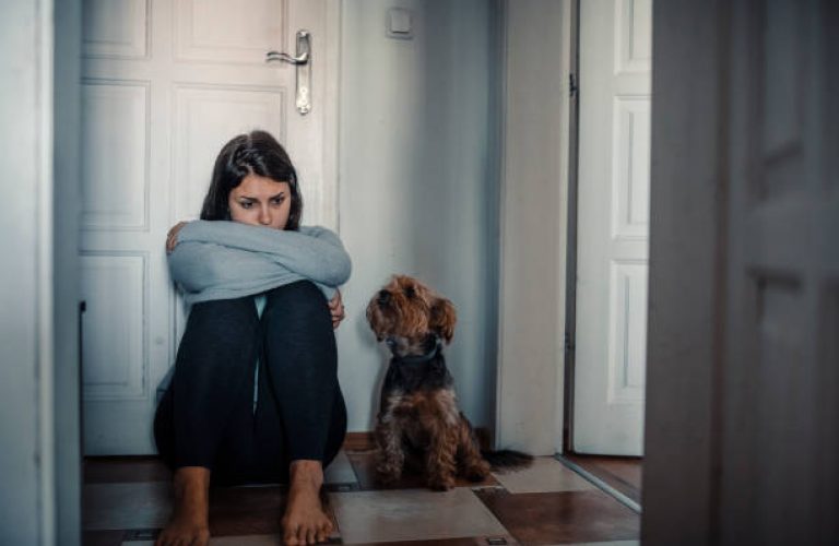 help your dog cope with the stress of divorce